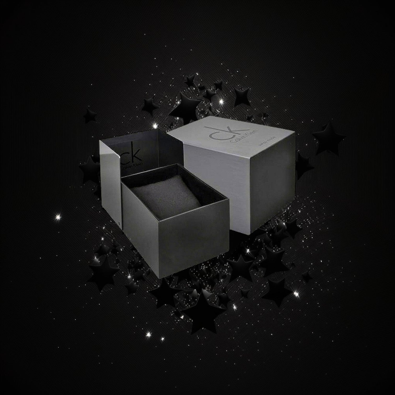 Calvin Klein COMPLETION Watch