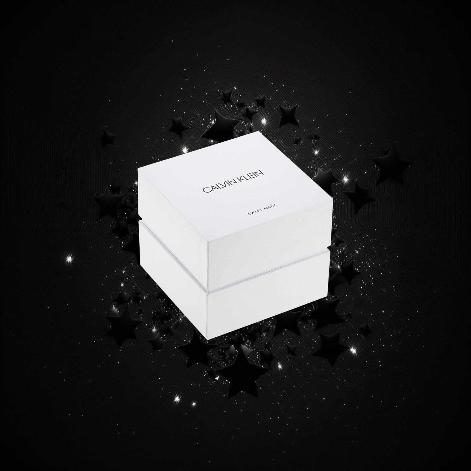 Calvin Klein K9E231VX Womens Watch