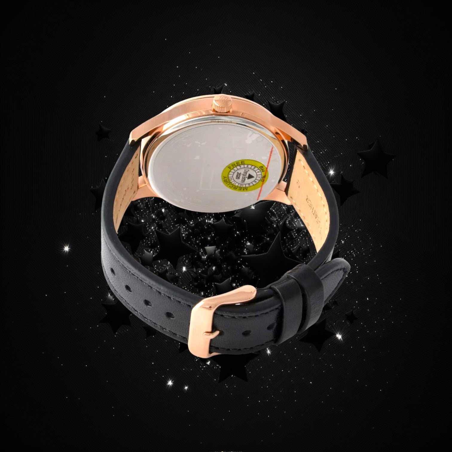 Tommy Hilfiger 1791419 Watch